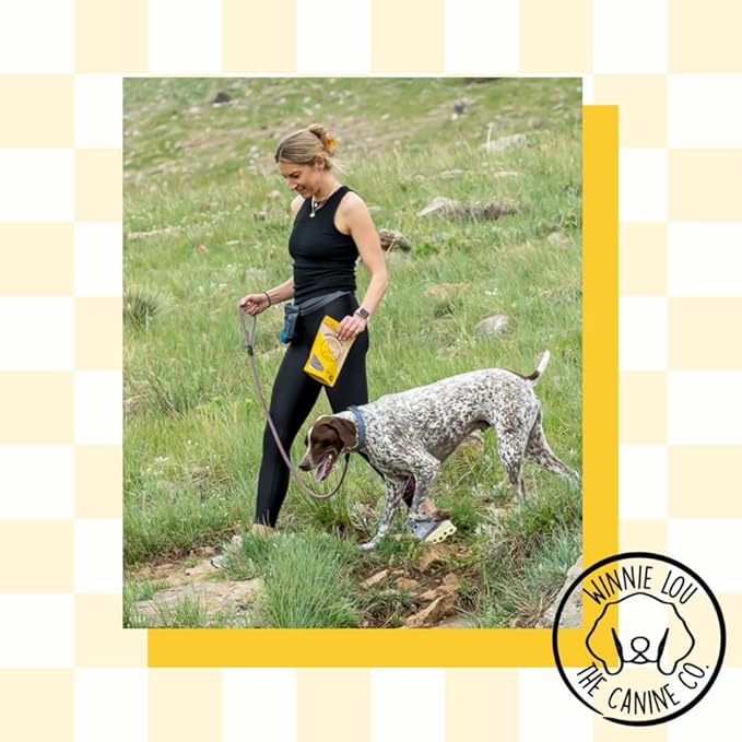 Winnie Lou Turmeric Bison Jerky Dog Treats – Limited Ingredient, Human Grade, Training Treats for Small, Medium & Large Dogs, Made in USA (1 Pack)