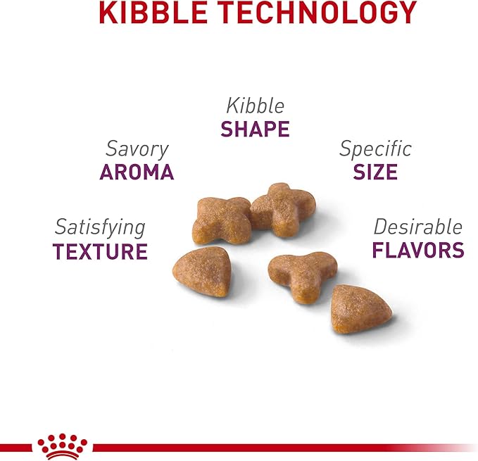 Royal Canin Feline Health Nutrition Sensitive Digestion Adult Dry Cat Food, 3.5 lb Bag