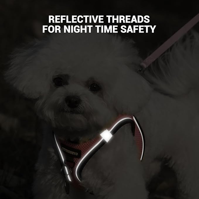 Dog Harness and Leash Set, Dog Harness for Dogs No Pull, No-Chock Step-in Reflective Breathable Lightweight Easy Walk Vest Harnesses with Safety Buckle for Small Medium Dogs, Cats (Pink, M)