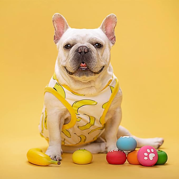 Squeaky Dog Toys, Soft Latex Rubber Squeaky Dog Ball for Small Dogs Puppies, Cute Bounce Squeak Toys Balls with Funny Cute Face 6 Pack