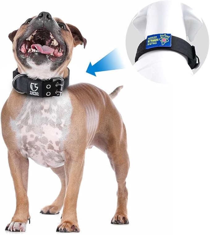 TSPRO Tactical Dog Collar, Adjustable, with Patch & Double Needle Metal Buckle, Heavy Duty for Large to Extra Large Dogs, Durable for Walking, Running, Hiking & Training (Green L-XL)