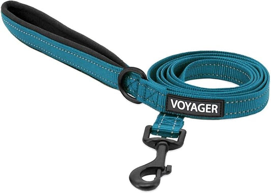 Voyager Reflective Dog Leash with Neoprene Handle, 5ft Long, Supports Small, Medium, and Large Breed Puppies, Cute and Heavy Duty for Walking, Running, and Training - Turquoise (Leash), M