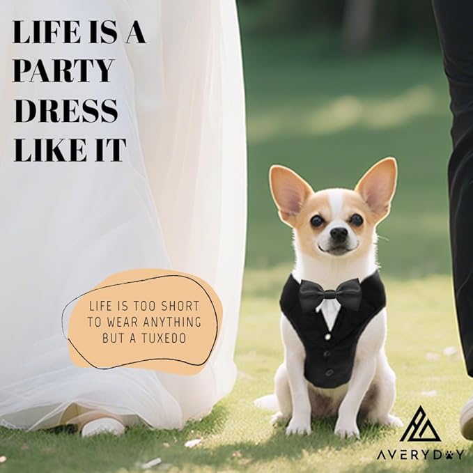 AVERYDAY XS Pet Tuxedo Harness, Wedding Costume Outfit for Small Dogs, Slim Cats and Tiny Pets with 8.3" Neck, 13-14.6" Chest, 10" Max Head Girth, Formal Suit Costume for Mini Breeds