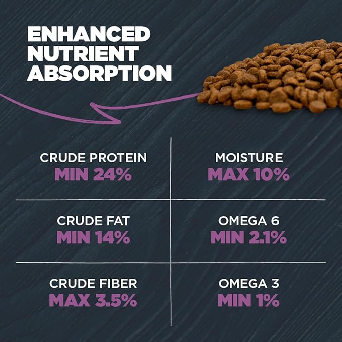 Blackwood Sensitive Skin & Stomach Dry Dog Food, Salmon Meal & Brown Rice with Ancient Grains, 24 Pound Bag with Prebiotics & Probiotics to Promote Gut Health