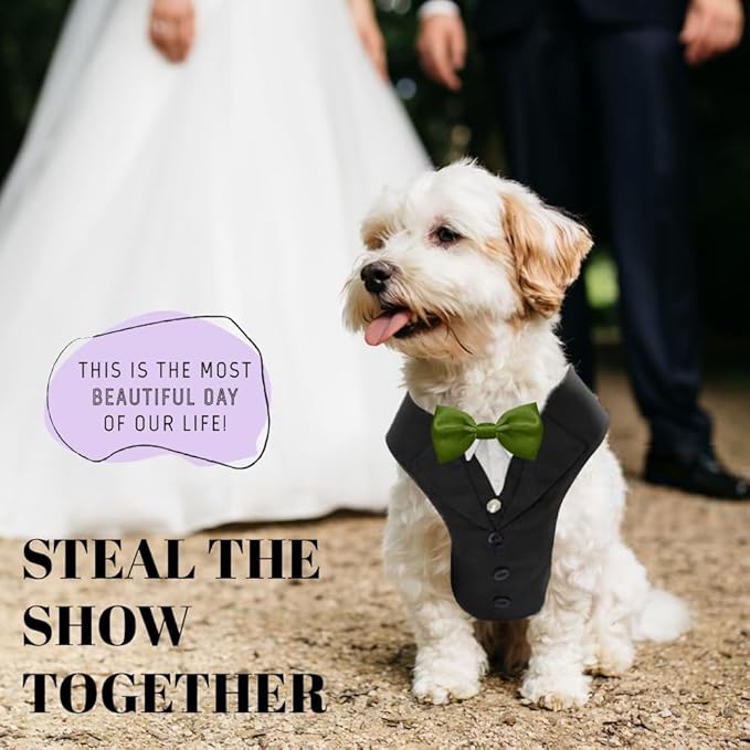 AVERYDAY Dog Tuxedo for Wedding Outfit, Dog Suit and Tie Costumes for Birthday, Halloween, Cosplay, Christmas Party, Pet Formal Wear with Bowtie, Tux for Small Dogs, Chihuahua, Bichon, Maltese, Cats