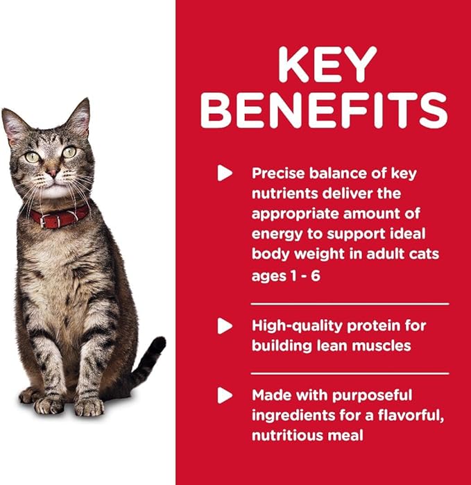 Hill's Science Diet Adult 1-6, Adult 1-6 Premium Nutrition, Wet Cat Food, Turkey & Liver Minced, 5.5 oz Can, Case of 24