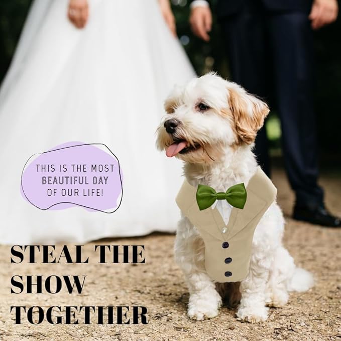 AVERYDAY Dog Tuxedo for Wedding Outfit, Dog Suit and Tie Costumes for Birthday, Halloween, Cosplay, Christmas Party, Pet Formal Wear with Bowtie, Tux for Small Dogs, Chihuahua, Bichon, Maltese, Cats