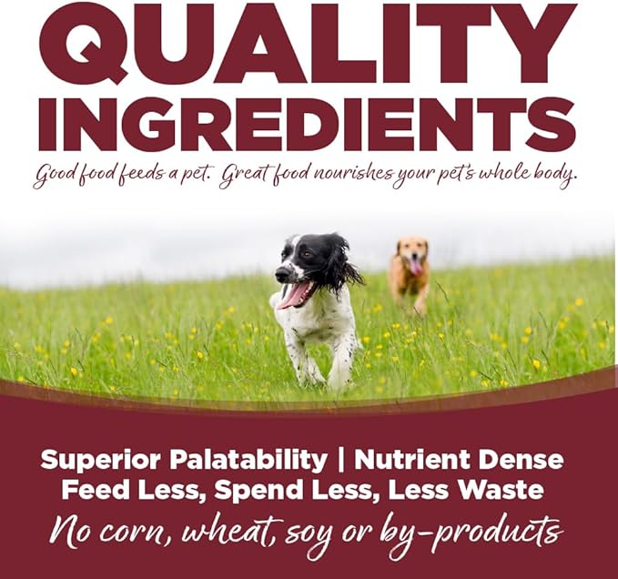 NutriSource Beef & Rice Recipe Dog Food, Premium Wet Dog Food, 12.3 Ounce (Pack of 12)