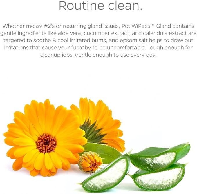 Gland Pet WiPees™ – 100 Wipes for Dogs & Cats Glands, All Natural Dog Anal Gland Cleaning, Cat Butt Wipes, Odor-Fighting Daily Gland Care (Natural, 100ct)