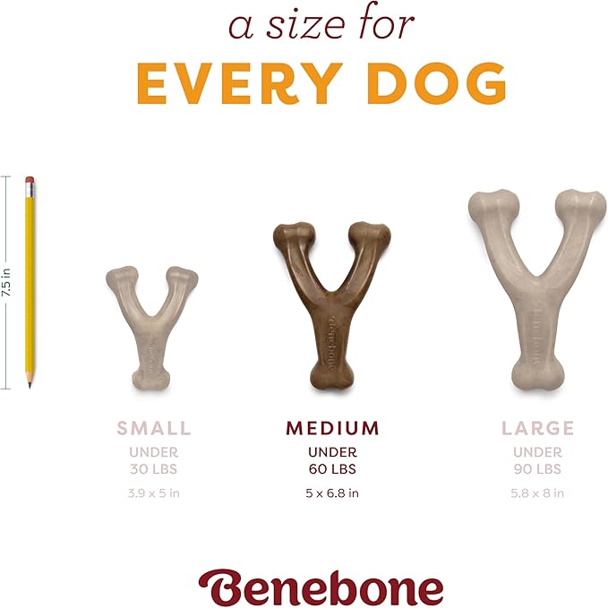 Benebone Pumpkin Spice Wishbone – Limited Edition Flavor, Durable Dog Chew Toy for Aggressive Chewers, Made in USA, Medium