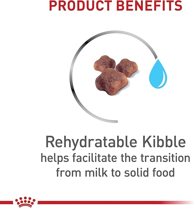 Royal Canin Feline Health Nutrition Mother & Babycat Dry Cat Food for Newborn Kittens and Pregnant or Nursing Cats, 6 lb bag