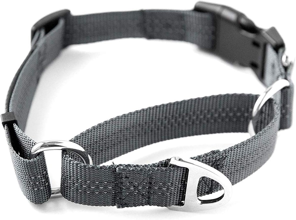 Mighty Paw Martingale Nylon Training Collar - Durable and Safe Choke Collar - Dog Collars Cinch for Controlled Training - Reflective Stitching for Dogs Safety - Grey - Large