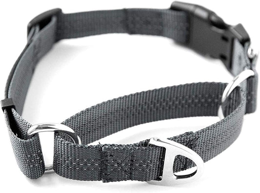 Mighty Paw Martingale Nylon Training Collar - Durable and Safe Choke Collar - Dog Collars Cinch for Controlled Training - Reflective Stitching for Dogs Safety - Grey - Large