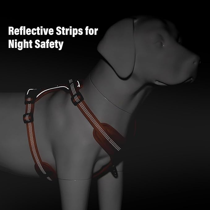 Plutus Pet No Pull Dog Harness, Release at Neck, Soft Padded, Reflective Adjustable Dog Vest Harness for Small, Medium, Large Dogs(Orange, XL)