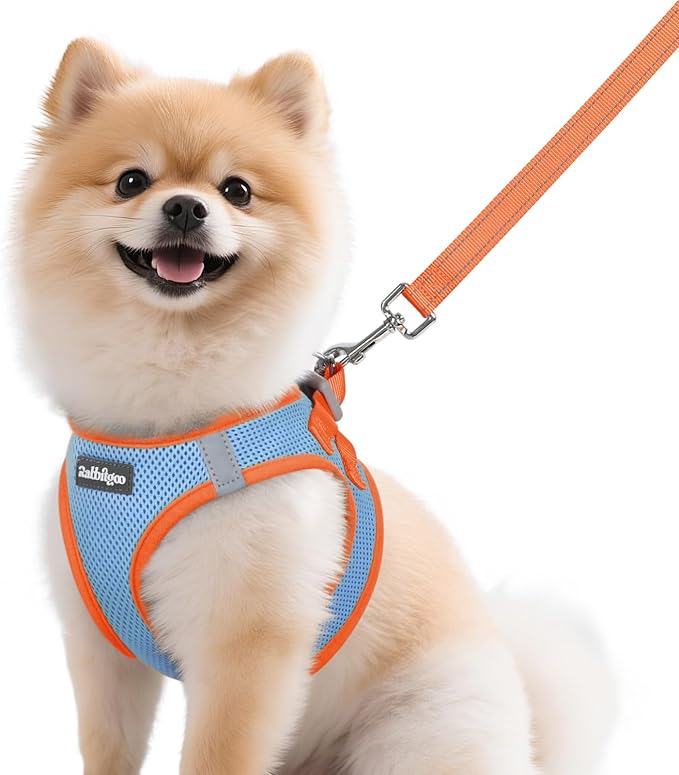 rabbitgoo Dog Harness Small Sized and Leash Set, Step-in Breathable Pet Harness, Soft Walking Reflective Puppy Vest for Small Dogs, Light Blue & Orange, M