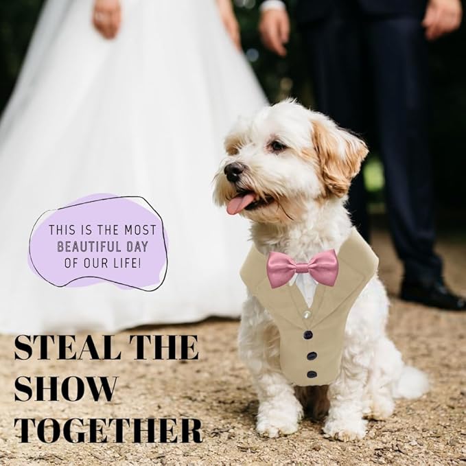 AVERYDAY Dog Tuxedo for Wedding Outfit, Dog Suit and Tie Costumes for Birthday, Halloween, Cosplay, Christmas Party, Pet Formal Wear with Bowtie, Tux for Small Dogs, Chihuahua, Bichon, Maltese, Cats