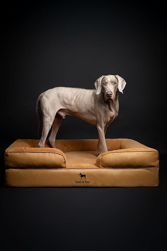 NOAH & PAW XL Dog Bed, 45x35x11 Inch, Orthopedic Large Dog Beds, Eggshell Memory Foam Infused with Cooling Gel, Inner Cover, Waterproof, Machine Washable (Faux Leather Sofa Collection)