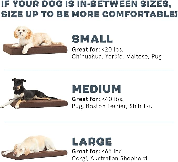 Barkbox Orthopedic Dog Bed | Comfortable Memory Foam Mattress for Joint Relief | Head and Neck Support Waterproof with Non Skid Bottom | Calming Durable Bed with Washable Cover | Small, Espresso