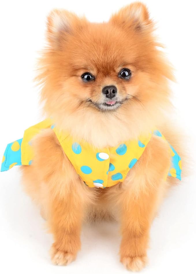 Dog Harness Dress for Small Medium Dogs Female Girls Polka Dots Tutu Skirt Beauty Pet Clothes with Leash 1.6m Cats Apparel Puppy Chihuahua Yorkie Clothing Spring Summer Yellow XL