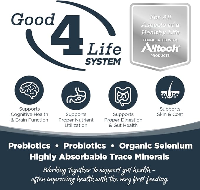 NutriSource Harvest Selects Northern Feast Dog Cans, Premium Wet Dog Food, 12.3 Ounce (Pack of 12)