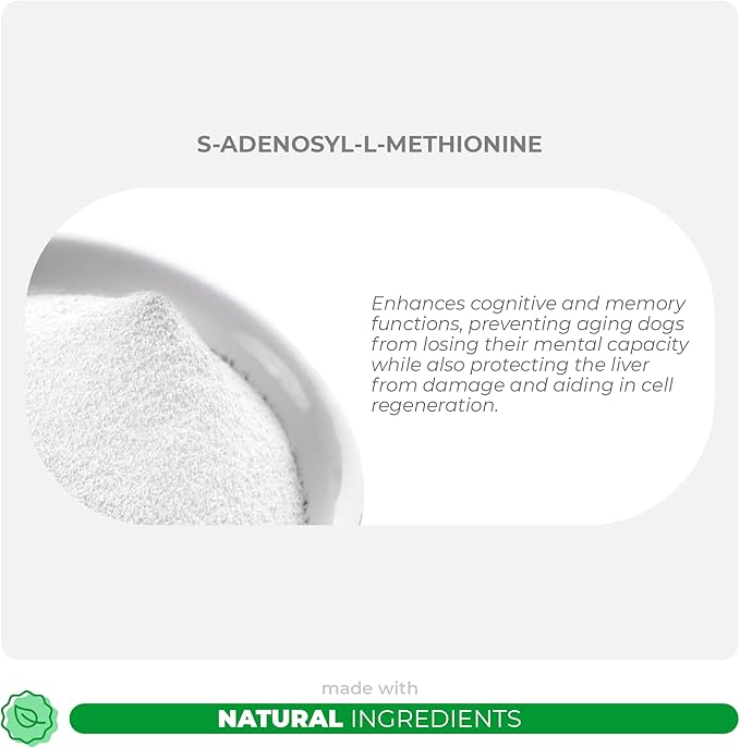 Same for Dogs - 120 Chewable Tablets - S-Adenosyl-L-Methionine, Liver Supplement - Brain Health, Promotes Cognitive Support, Liver Support (Same Tablet)