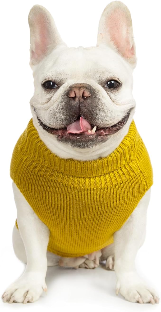 Stretchy Cat Sweater - 17 Colors & 6 Sizes | Snug Winter-Ready Knit for Boy/Girl Cats & Kittens(Dark Yellow, X-Large)