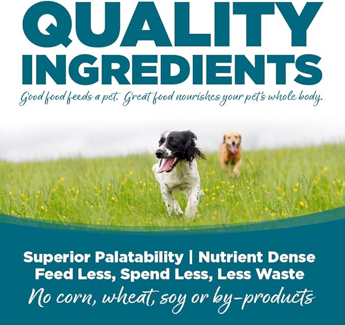 NutriSource Chicken & Rice Recipe Dog Food, Premium Wet Dog Food, 12.3 Ounce (Pack of 12)