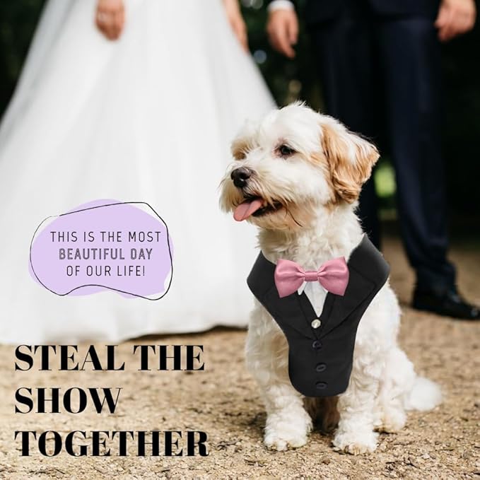 AVERYDAY Dog Tuxedo for Wedding Outfit, Dog Suit and Tie Costumes for Birthday, Halloween, Cosplay, Christmas Party, Pet Formal Wear with Bowtie, Tux for Small Dogs, Chihuahua, Bichon, Maltese, Cats