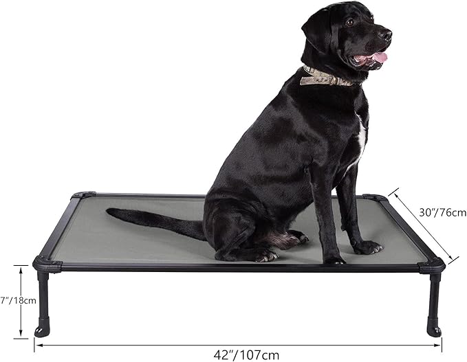 Veehoo Chew Proof Elevated Dog Bed - Cooling Raised Pet Cot - Rustless Aluminum Frame and Durable Textilene Mesh, Unique Designed No-Slip Feet for Indoor or Outdoor Use, Grey, Large, CWC2002
