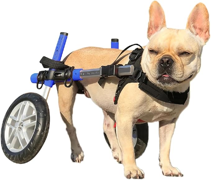 Walkin' Wheels Small Dog Wheelchair, Lightweight Dog Wheelchair for Back Legs, 15-25 lbs, for 9-11 inches Leg Height - Blue
