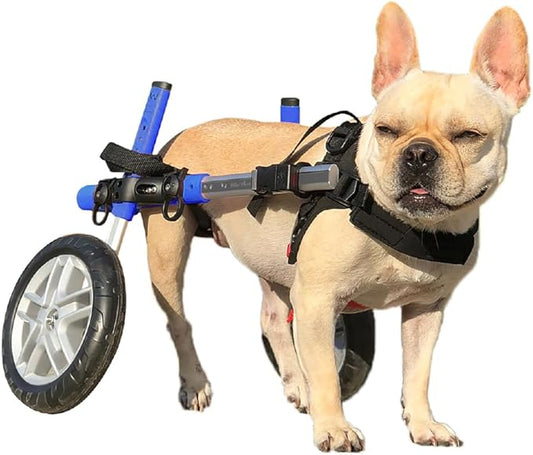 Walkin' Wheels Small Dog Wheelchair, Lightweight Dog Wheelchair for Back Legs, 15-25 lbs, for 9-11 inches Leg Height - Blue
