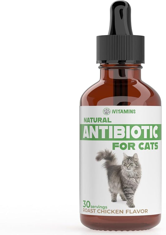 Cat Antibiotic for Infections, UTIs, Respiratory Moments, Cold, & Allergies | Antibiotics for Cats of All Ages & Breeds | Chicken Flavor | 1 fl oz | (1)