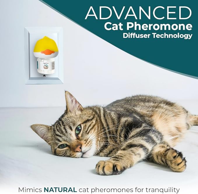 Doggy's Dinner Cat Calming Pheromone Plug-in Diffuser refills. Calming Pheromones help Relieve Anxiety. Contains (3 48ml refills 90 day supply) Works with most other brand Diffusers., Clear