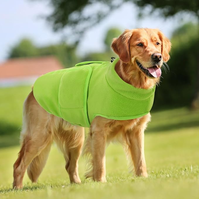 Queenmore Soft Fleece Dog Jacket, Warm Winter Dog Clothes with Leash Hole, Dachshund Sweater for Small Dogs Cats Boy or Girl (Green, S)