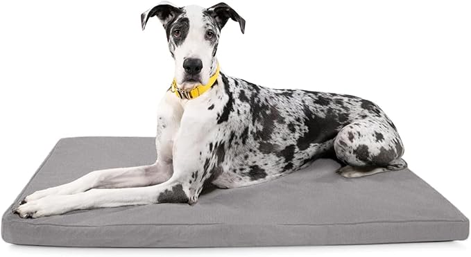 K9 Ballistics Tough Ripstop Orthopedic Crate Bed - Thick, Durable XXL Kennel Pad with Washable Cover for XX Large Dogs, 53 x 36 fits 54” Wire Crate, Light Gray Velvet