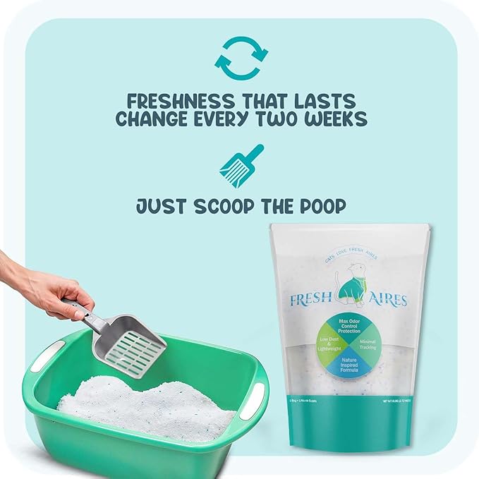 Silica Crystal Cat Litter | Unscented, Lightweight, Non-Clumping, Low Dust & Tracking, Long-Lasting Odor Control for Cats and Kittens | 6 lb Bag of Crystal Litter