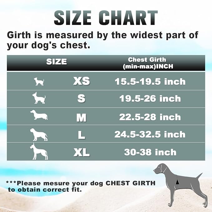 BARKBAY No Pull Dog Harness Large Reflective Dog Harness with Front Clip and Easy Control Handle for Walking Training Running with ID tag Pocket(Ocean Blue,XL)