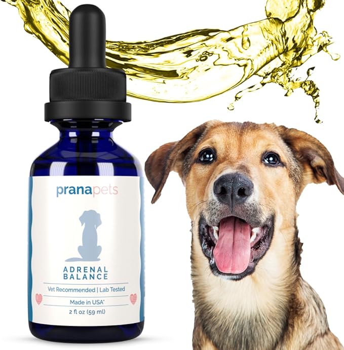 PranaPets Adrenal Balance for Dogs with Cushing's | Naturally Relieves Symptoms of Cushing's Disease in Dogs | Licorice Free Herbal Formula for Dogs with Cushing's Disease - 2 Pack