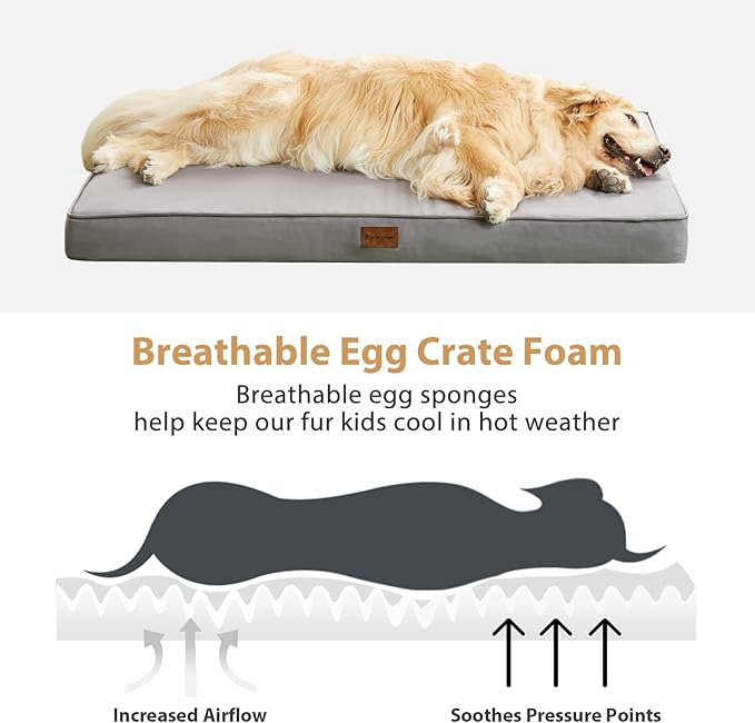 BFPETHOME Outdoor Dog Bed for Large Dogs, Waterproof, Orthopedic with Removable Washable Cover, Egg Crate Foam Mat. (30 x 20in, Grey)
