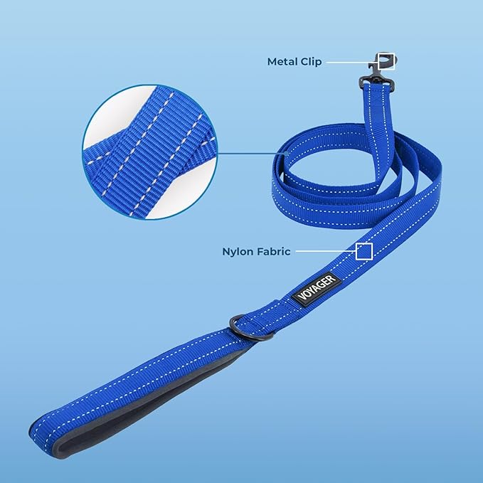 Voyager Reflective Dog Leash with Neoprene Handle, 5ft Long, Supports Small, Medium, and Large Breed Puppies, Cute and Heavy Duty for Walking, Running, and Training - Royal Blue (Leash), L