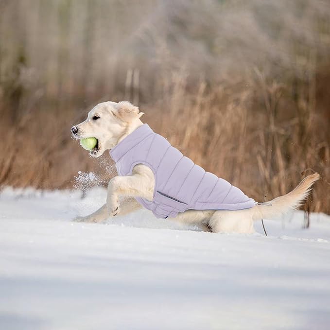 Lelepet Reversible Dog Coat Waterproof Dog Jacket Windproof Puffer Vest for Winter Warm Lightweight Coats for Large Dogs Adjustbale Hook & Loop Pet Apparel with Leash Hole, Boxer, Weimaraner, 2XL