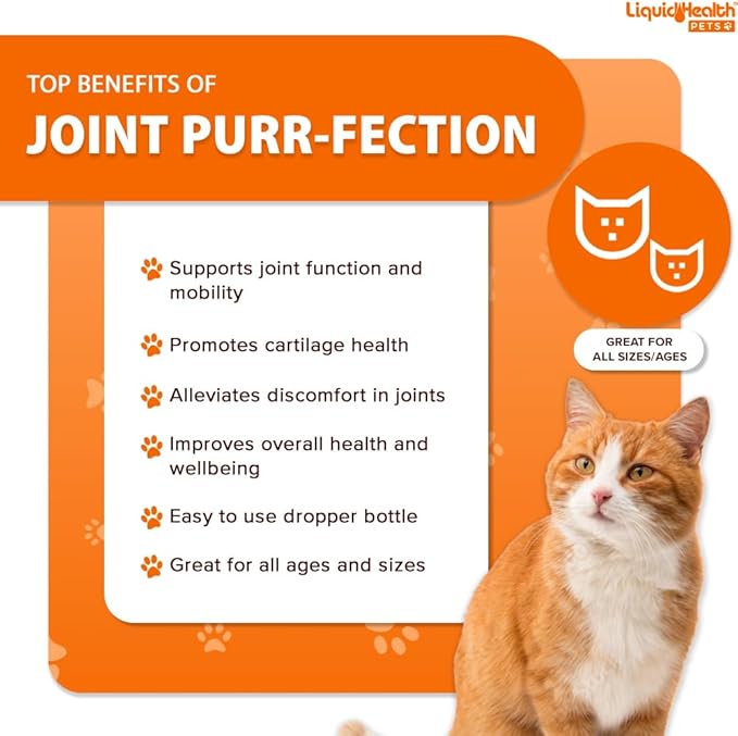 LIQUIDHEALTH Pets Liquid Cat Glucosamine Joint Purr-Fection - Hip & Joint Health Relief Support, Chondroitin Feline Droppers for Senior Older Adult Cats & Kittens - Made in The USA (2 Pack)
