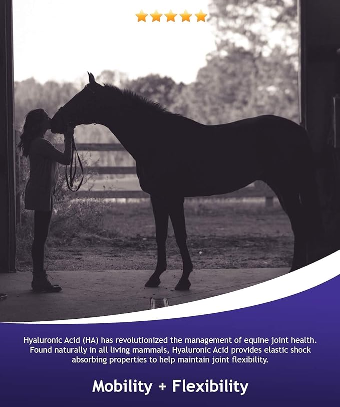 Hyalogic Hyaluronic Acid for Horses 90 Day Supply - 9oz - Easy Oral Tip Dispenser - Liquid HA Supplement for Equine Cartilage Support - Hyalun Pro - 9 oz / 296ml