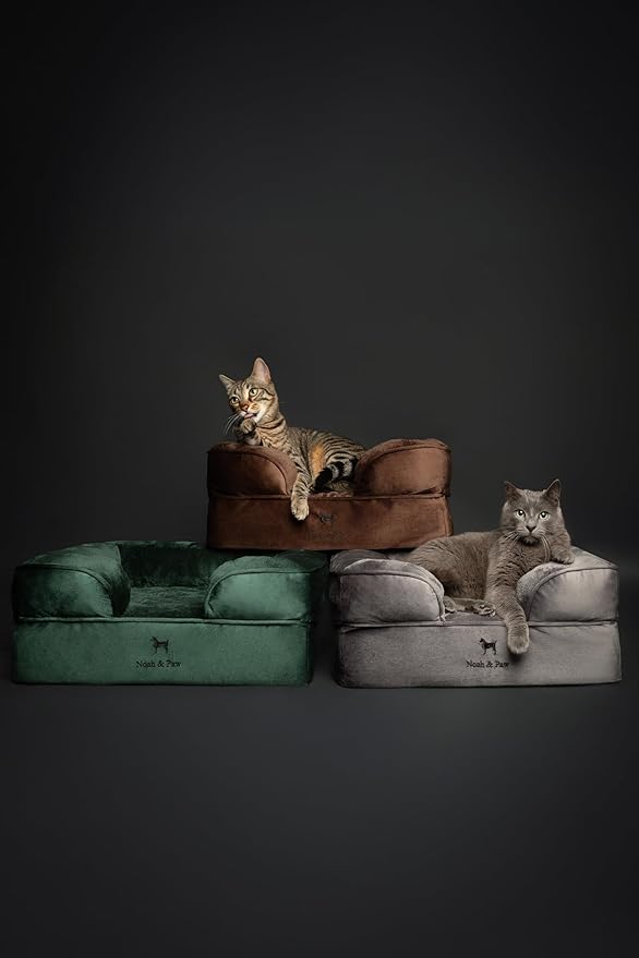 NOAH & PAW Small Dog Bed, 20x15x8 Inch, Cat Bed for Indoor Cats, Orthopedic Eggshell Memory Foam Infused with Cooling Gel, Waterproof Inner Cover Machine Washable (Velvet Collection)