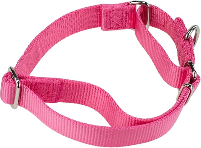 Hyhug Improved Design Nylon Webbing, Cold Water Washing Does Not Fade, Not Polluting Dog Hair, Wear Resistant and Not Prone to Fuzzing. No Slip Training Martingale Collar. (Candy Pink, Small)