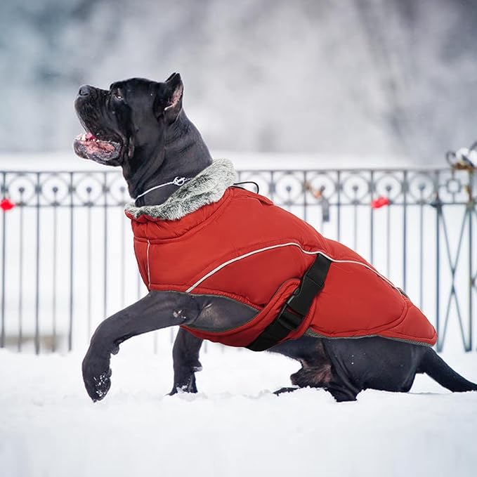 DENTRUN Extra Large Warm Dog Jacket - Windproof Water Repellent Reflective Coat, Adjustable Plush Turtleneck, Easy Wear Fleece Lined Cold Weather Vest for Great Dane, Red, XXXL