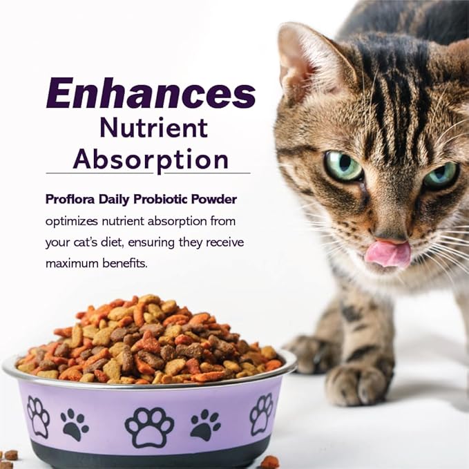 Probiotics for Cats-Complete Gut Health & Immune Support. Easy to Use Digestive Multi-Strain Probiotics. Easier Diet Transitions, Healthier Skin & Coat & Helps Treat Diarrhea. 30 Packets.