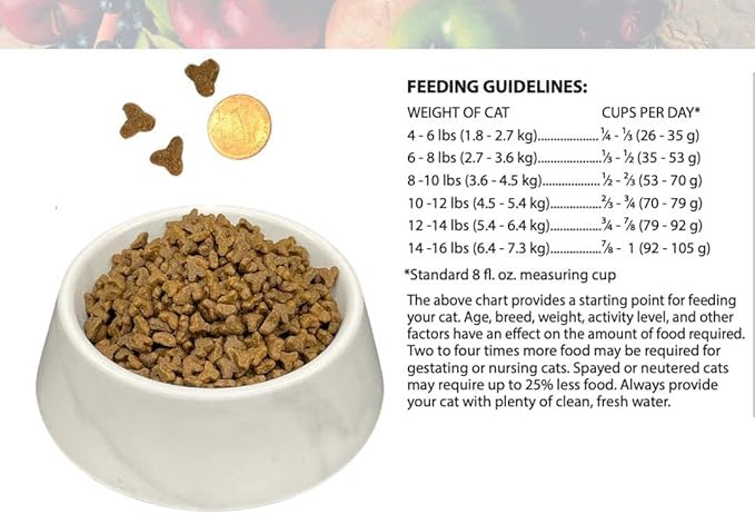 Bench & Field Holistic Natural Premium Adult Dry Cat Food, Chicken Meal and Brown Rice Recipe 3 lb Bags (Pack of 3)