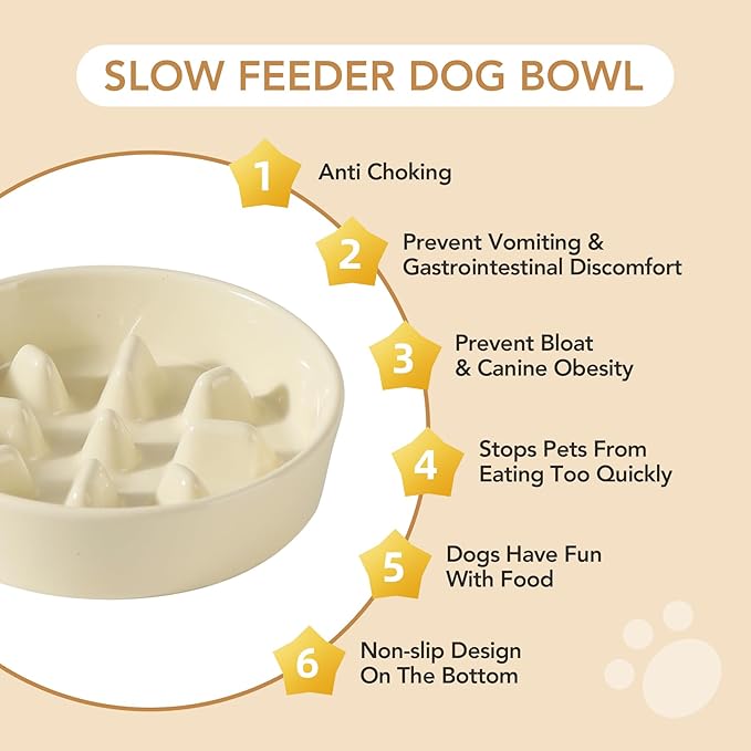 Ceramic Raised Slow Feeder Dog Bowl Set, Elevated 6.1inch Bowl and 7.3inch Slow Pet Food Dish with Wooden Stand for Small and Medium Dog (2 x Beige+ Stand)