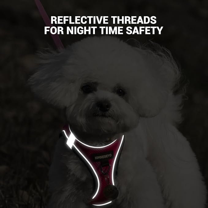 Dog Harness and Leash Set, Dog Harness for Dogs No Pull, No-Chock Step-in Reflective Breathable Lightweight Easy Walk Vest Harnesses with Safety Buckle for Small Medium Dogs, Cats (Rose red, L)